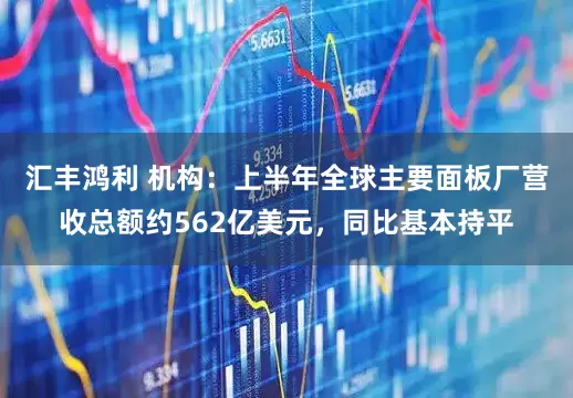 汇丰鸿利 机构：上半年全球主要面板厂营收总额约562亿美元，同比基本持平